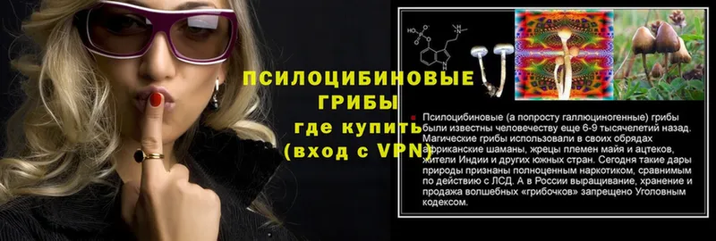 Псилоцибиновые грибы Psilocybine cubensis  купить наркотики сайты  кракен рабочий сайт  Заволжье 